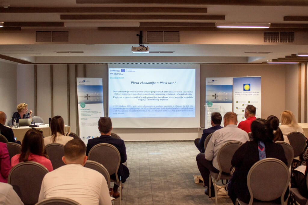 Snimka zaslona 2025-05-28 140048